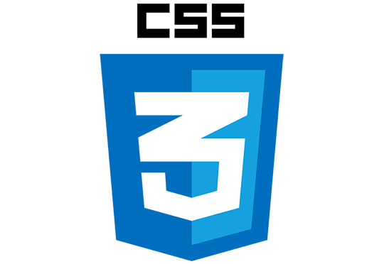 CSS Logo
